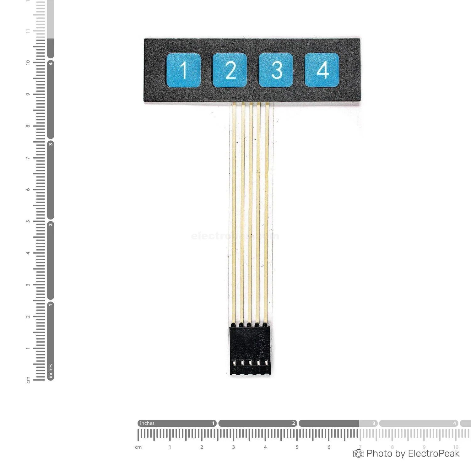 k_p_kpd-01-013-4.jpg 1×4 Matrix 4 Keys Keypad Membrane Switch - Image 3