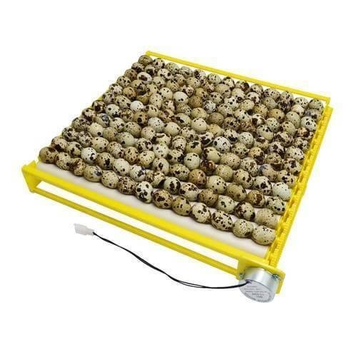 156 eggs 220v egg incubator roller tray multifuntion 13 tubes egg capacity poultry incubator hatcher in lahore islamabad karachi faislabad 4 8df119f6 ab0c 4627 88d1 2af1581a141d.jpg 156 eggs 220v egg incubator roller tray multifuntion 13 tubes egg capacity poultry incubator hatcher in lahore islamabad karachi faislabad 4 8df119f6 ab0c 4627 88d1 2af1581a141d.jpg
