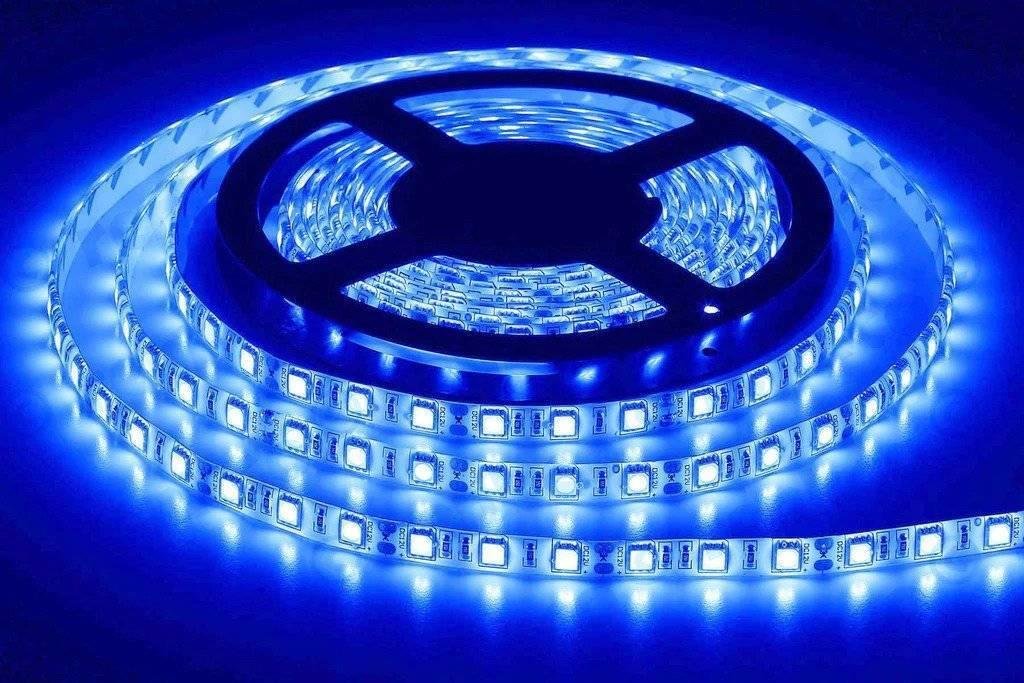 blue color 5v dc strip light rolls 5 meter each.jpg